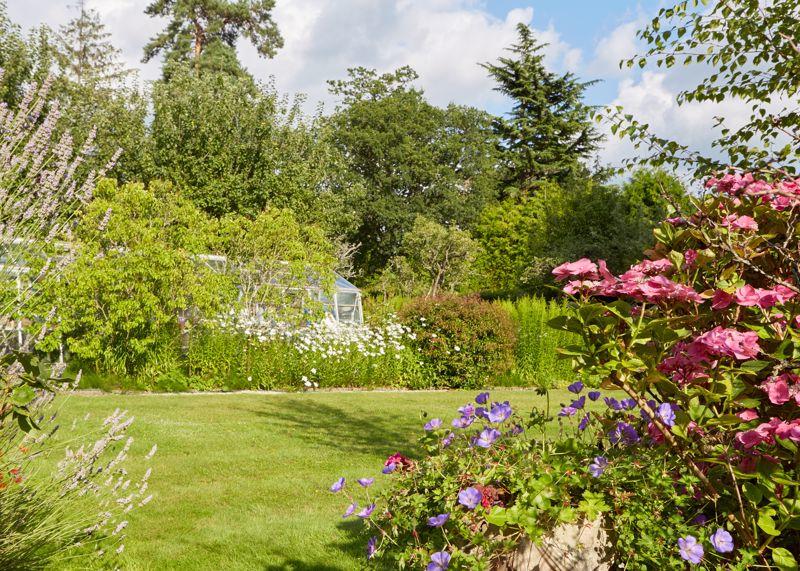 Side garden 