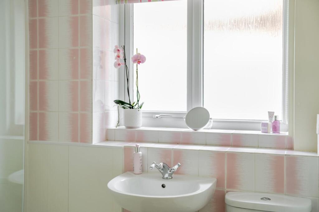 lifestyle sink.jpg
