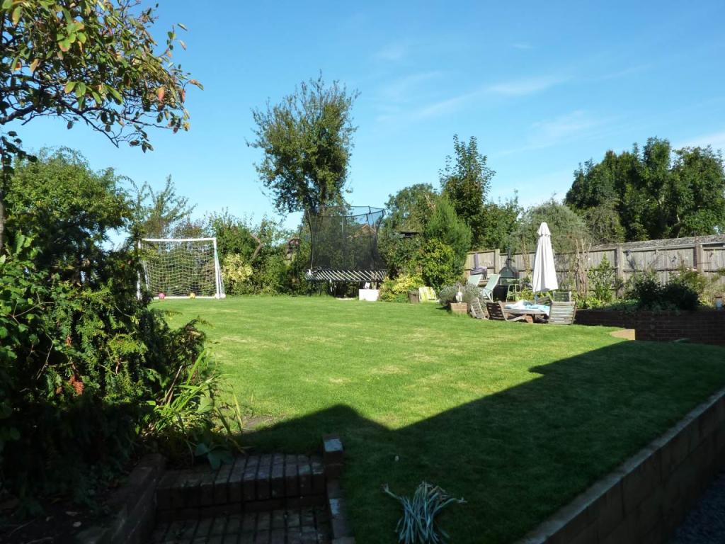 Back Garden