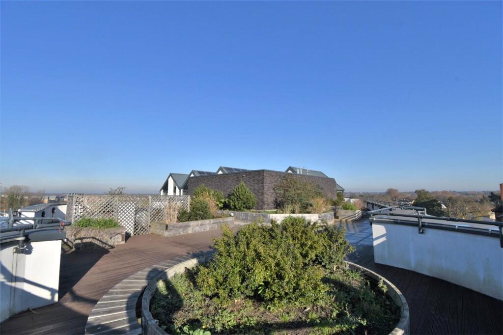 Communal Roof Garden