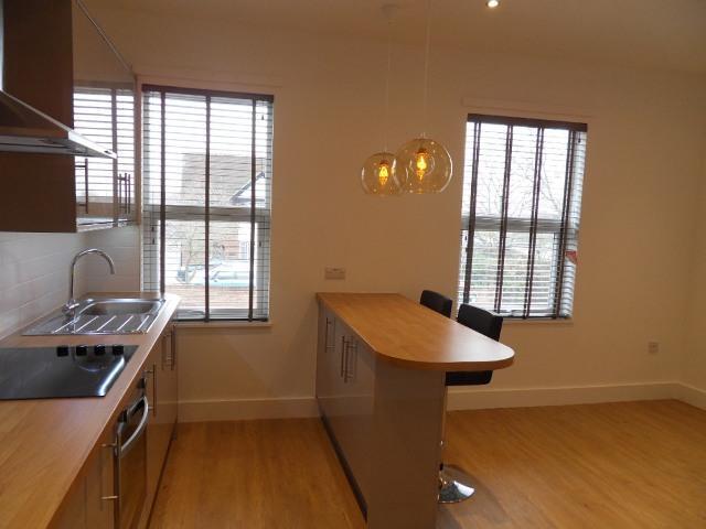 Open Plan Kitchen / Lounge