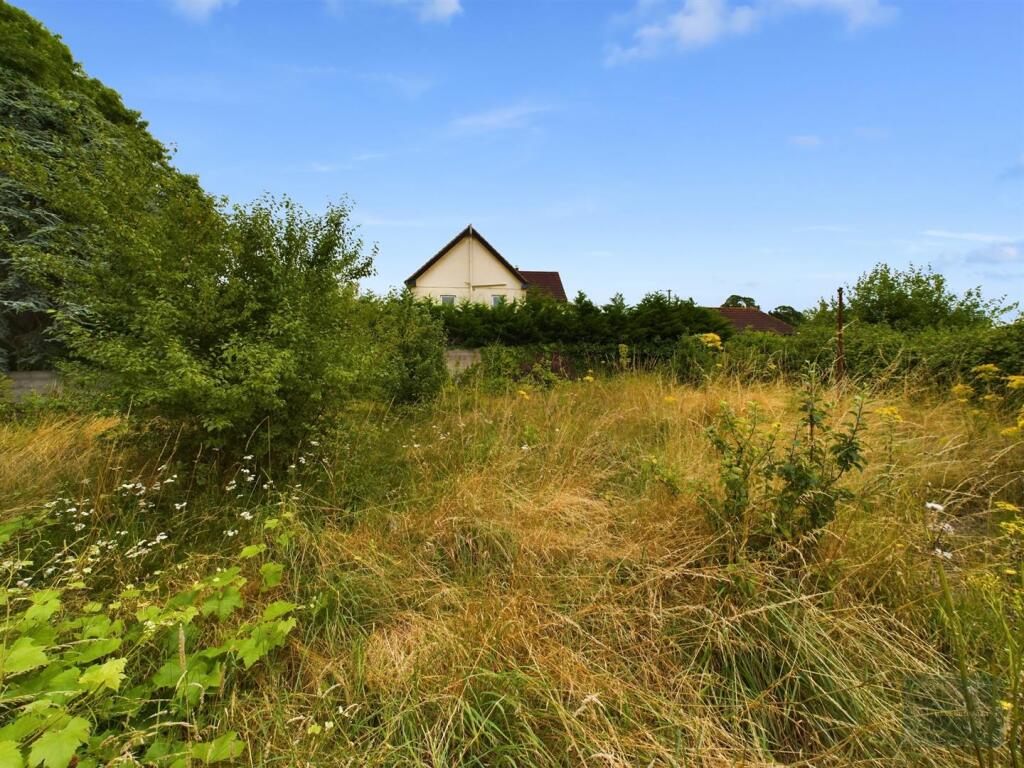 CAM02563G0-PR0095-ST