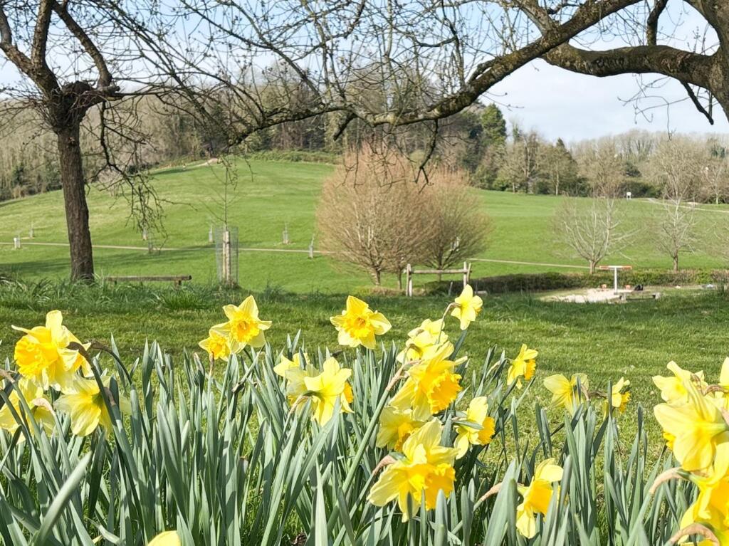 Nearby Arnos Vale Community Garden