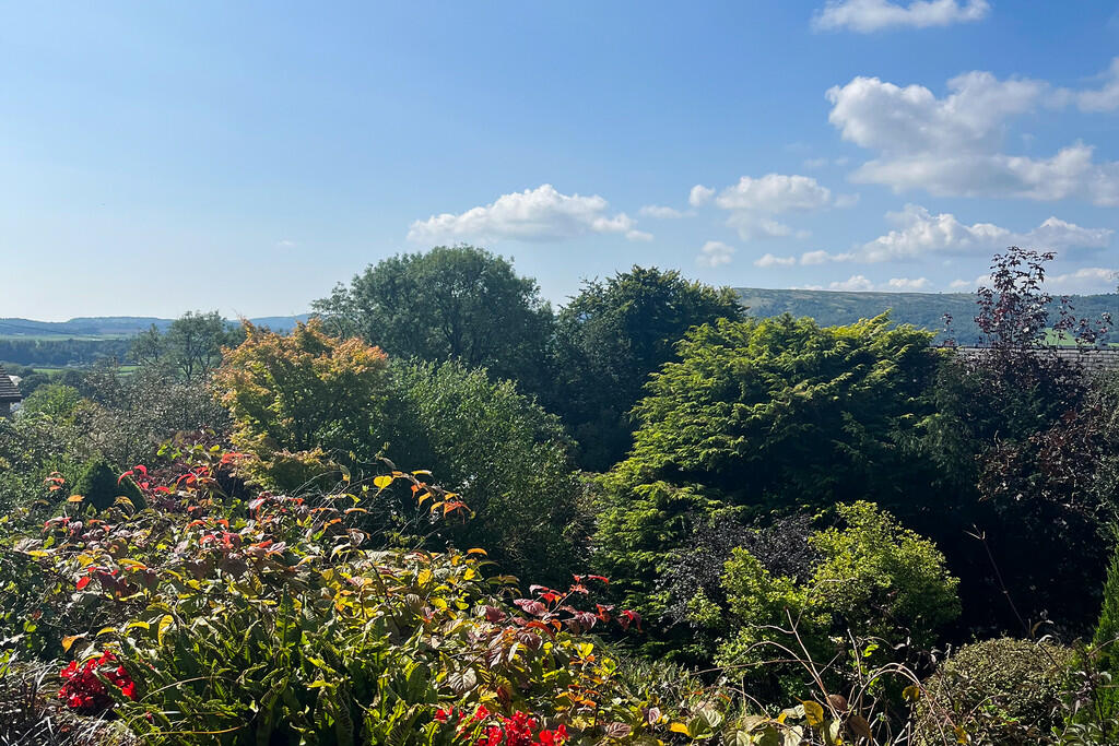 Garden in summer ...