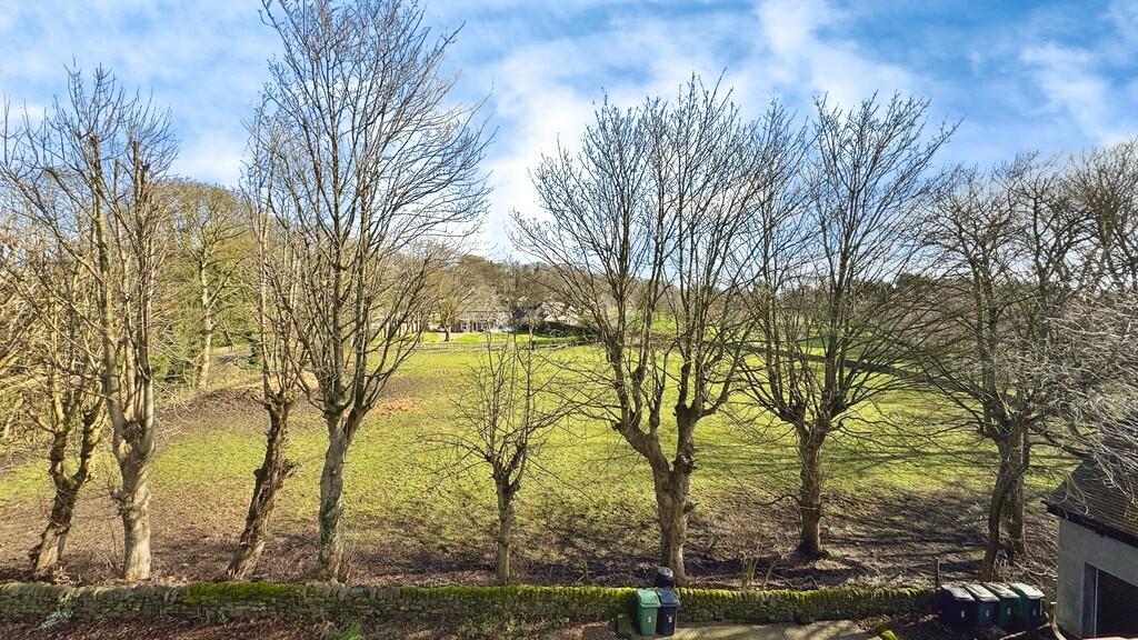 e51a0131-image_pi...