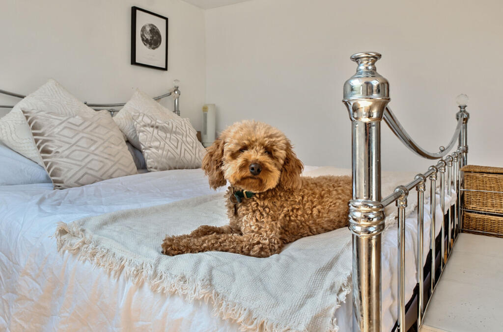 1310950-16-685402...