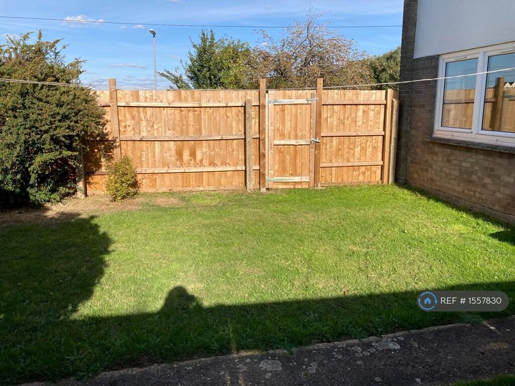 Back Garden