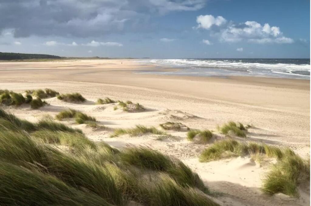 View of Beach