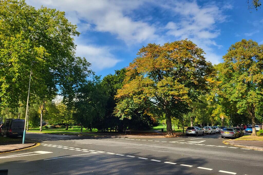 Outlook to the Park 