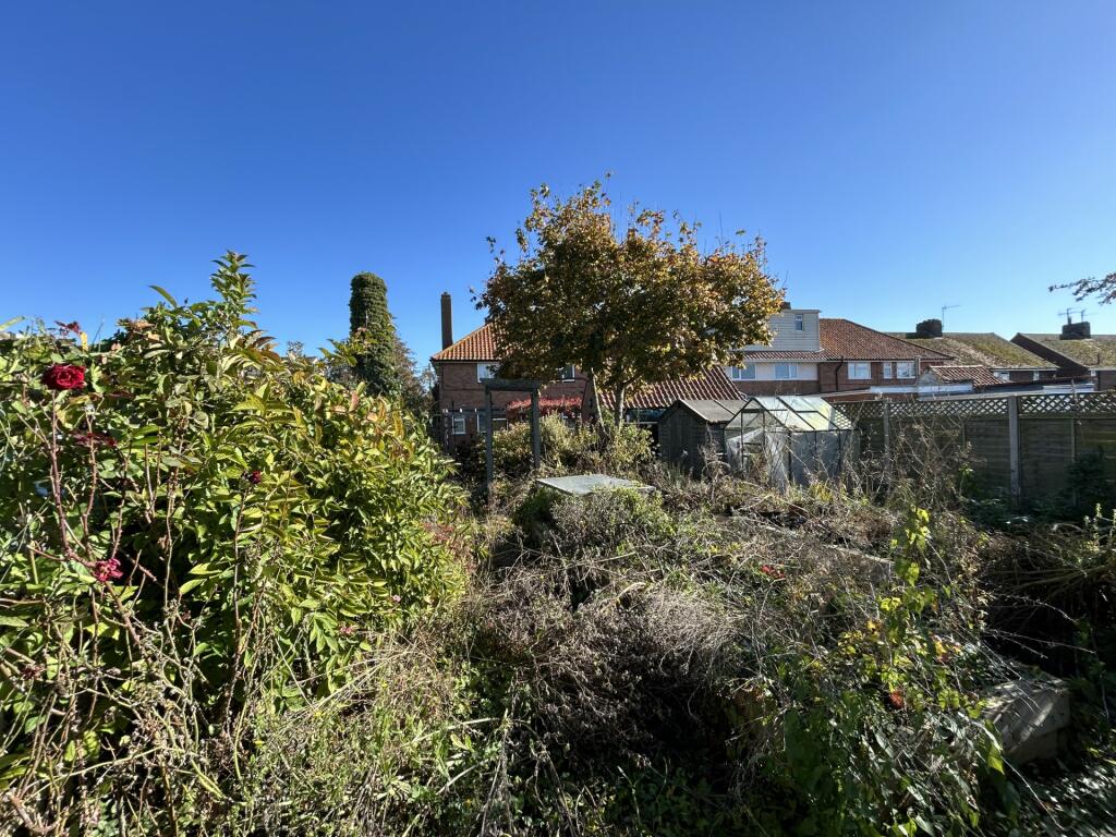 Garden 2