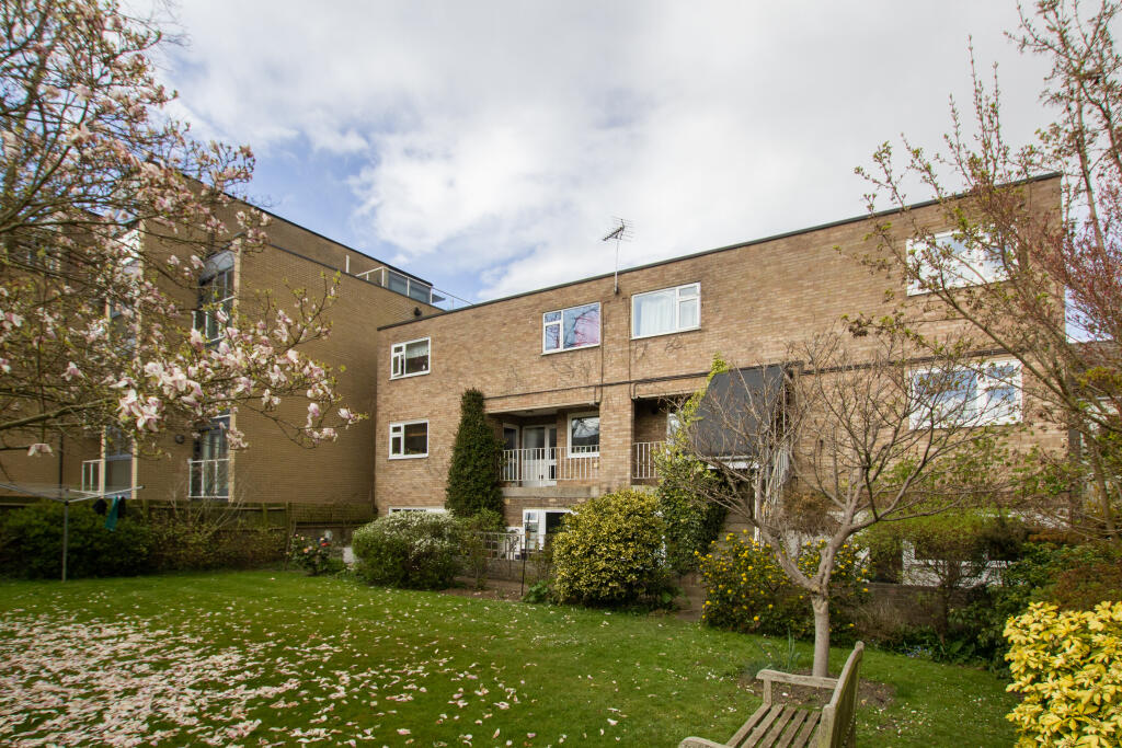 Rear Elevation