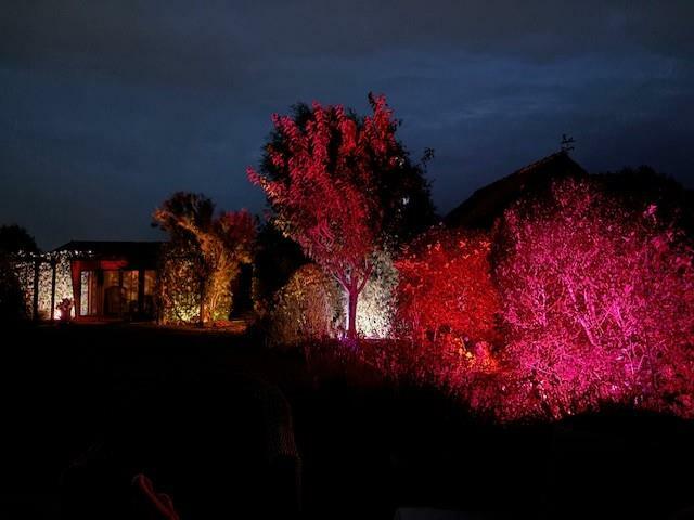 Garden with Night Lights