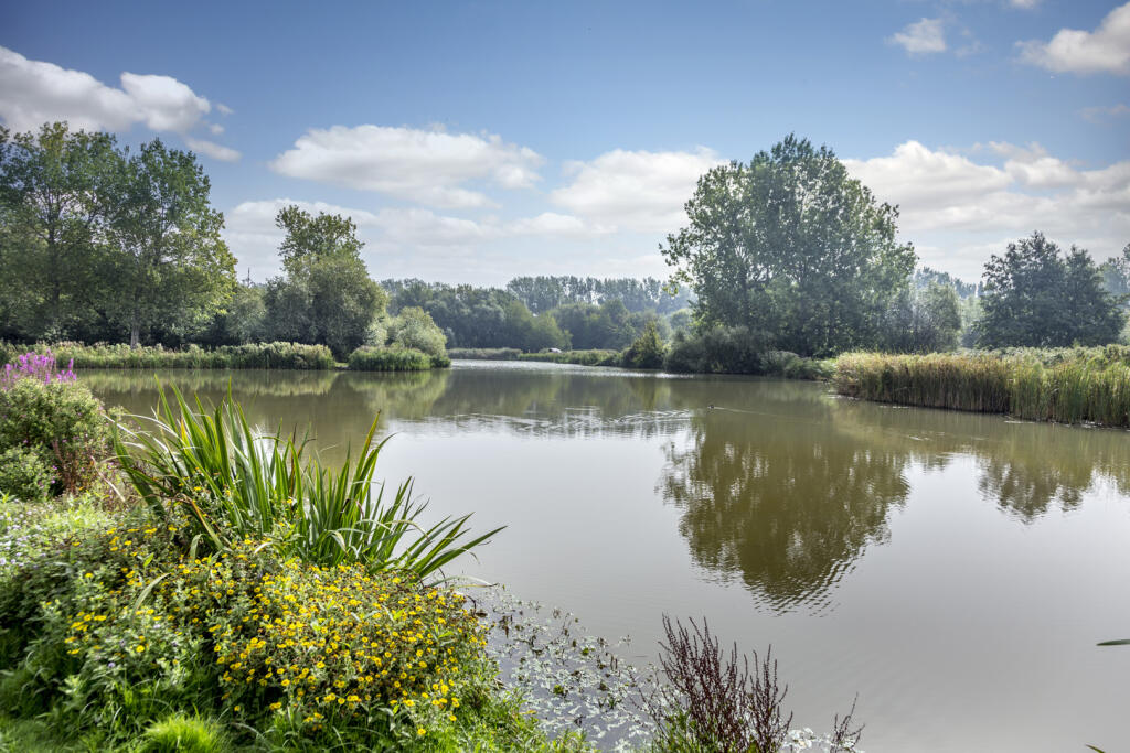 Sholden local area