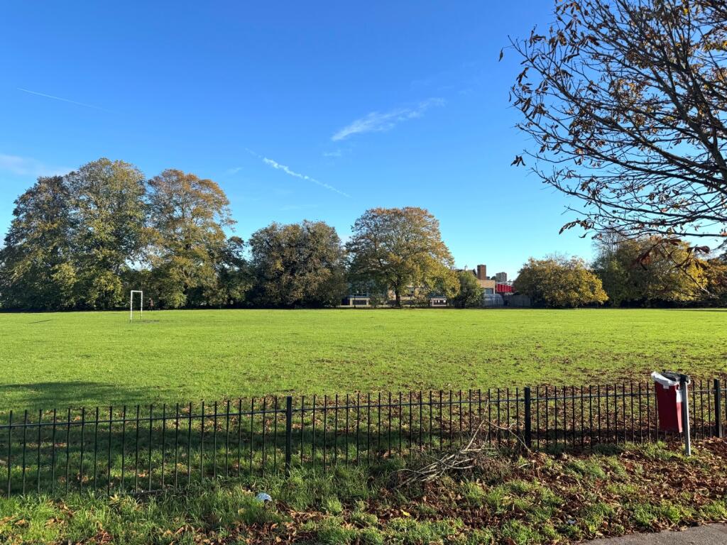 View of playing field