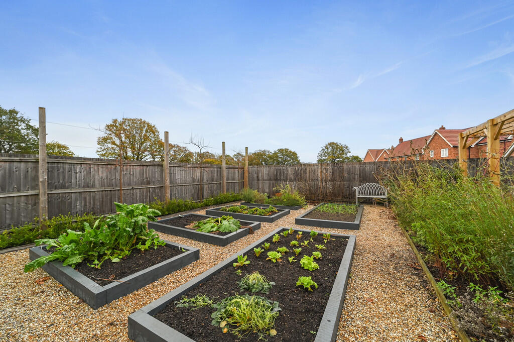 Tye Green garden ...