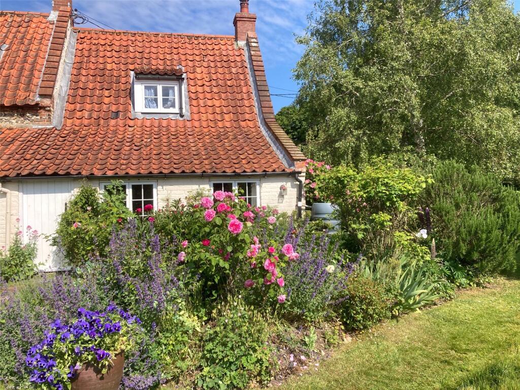 Summer Garden
