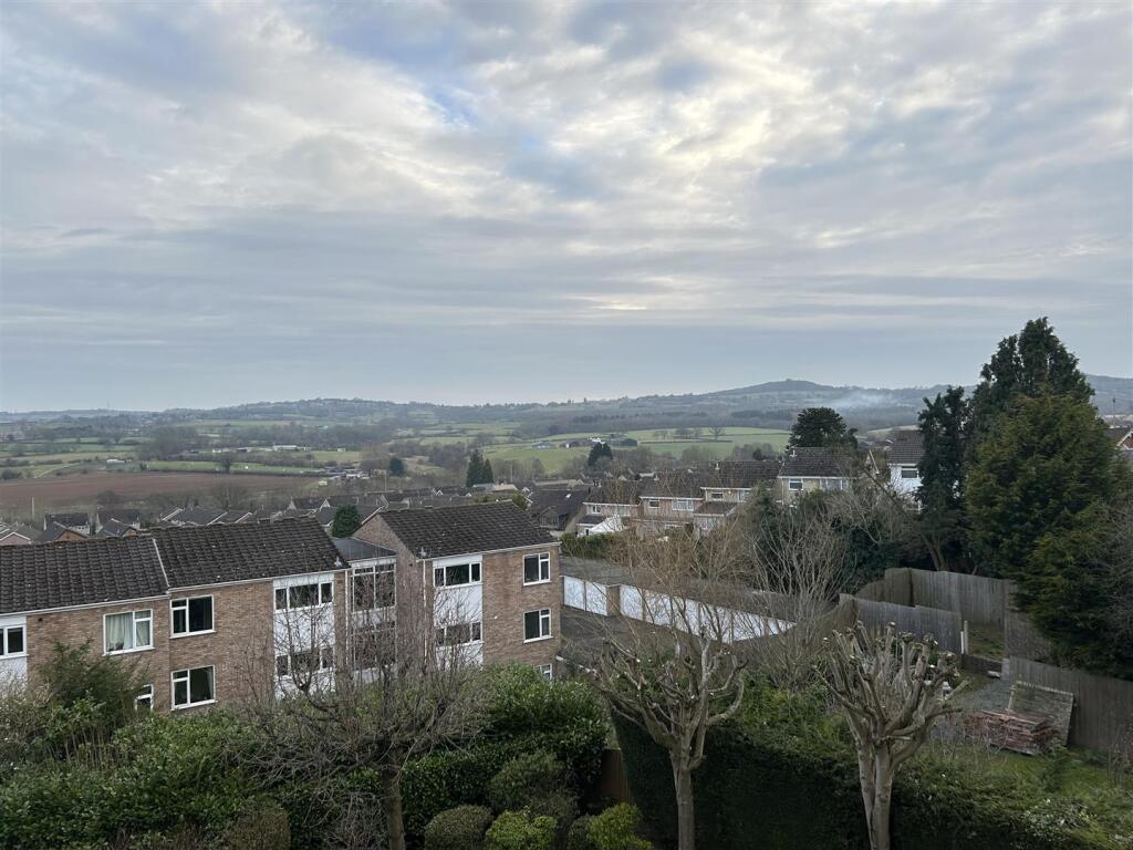 IMG_2293.jpg