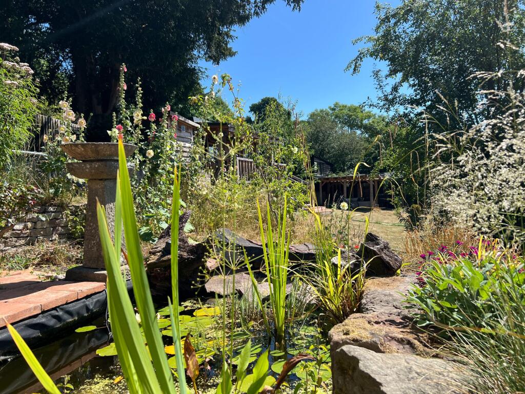 photo taken by the vendor