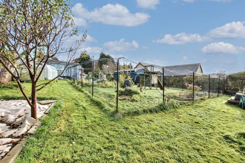 catio and rear garden