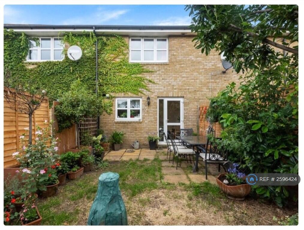 Back Garden