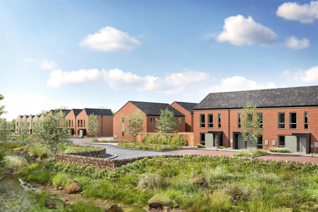 Mill View Meadows - brook in foreground.jpg