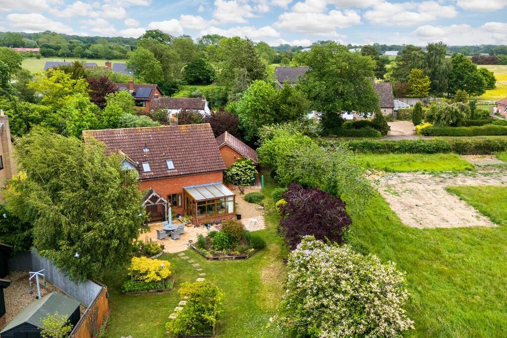 1440px-Hedgehogs-...