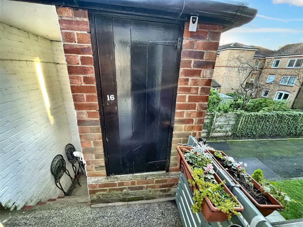 Back Door