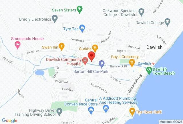 Google Maps Image
