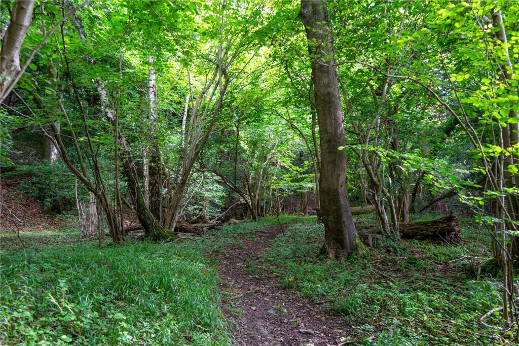 Woodland &amp; Rockface