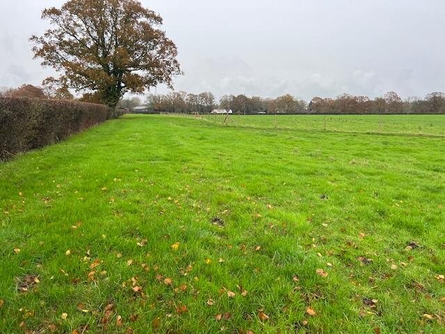 Lot 1