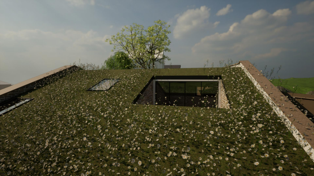 Image11_003.png