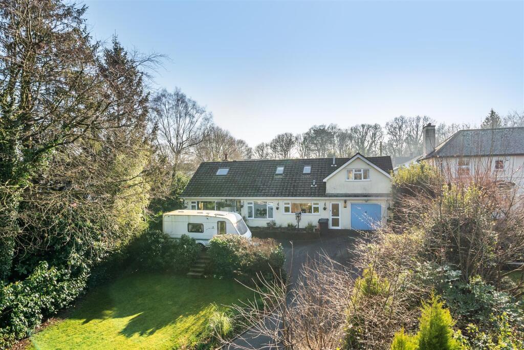 67c881e360816-1257453 (3).jpg