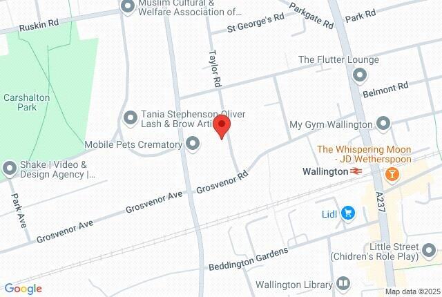 Google Maps Image