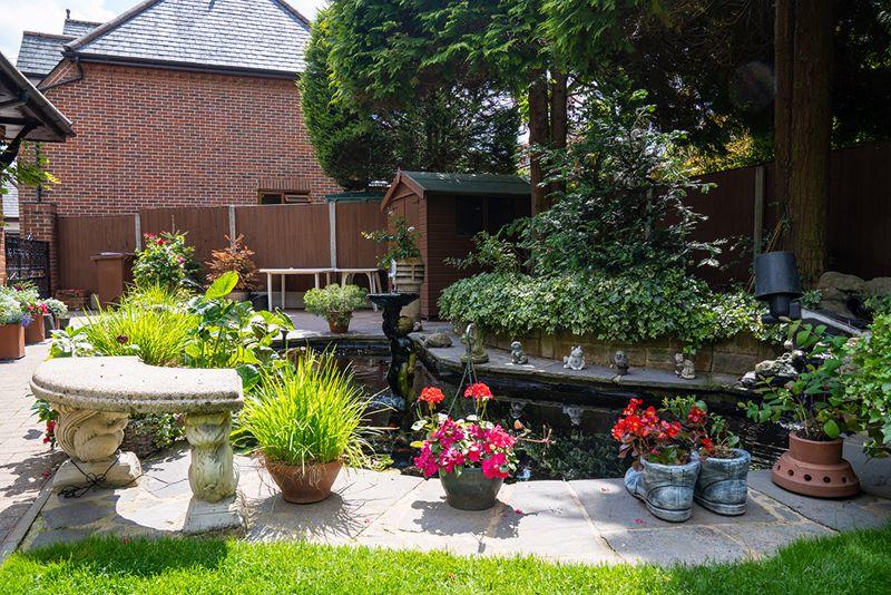 Pond area