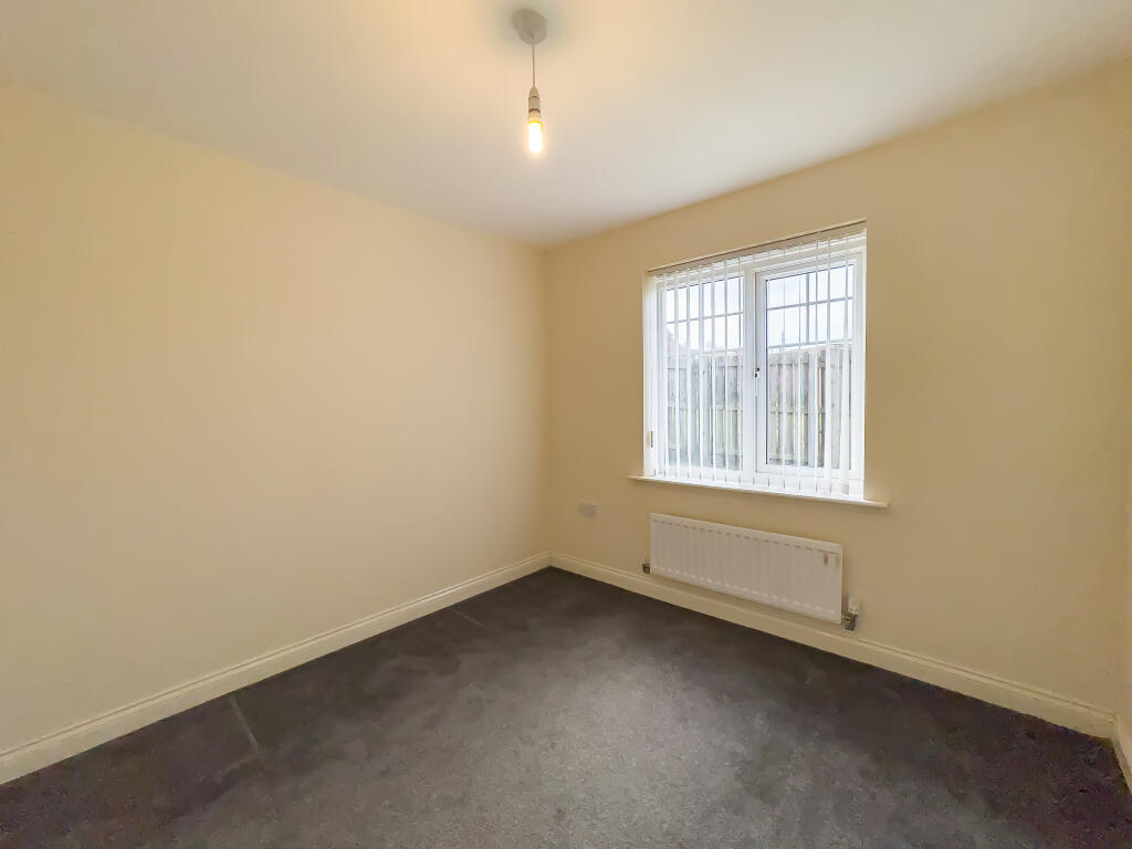 IMG 0244 T202510271353.jpg