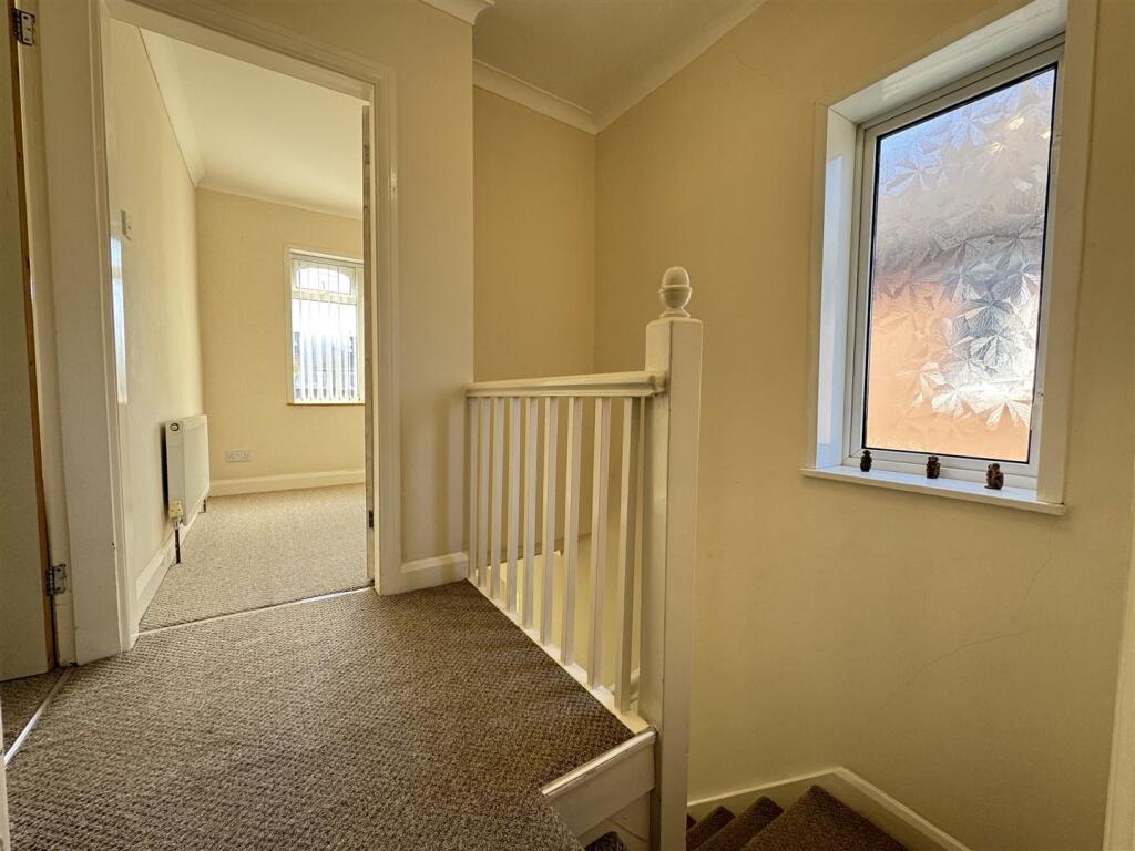 IMG_8787 (Large).JPG