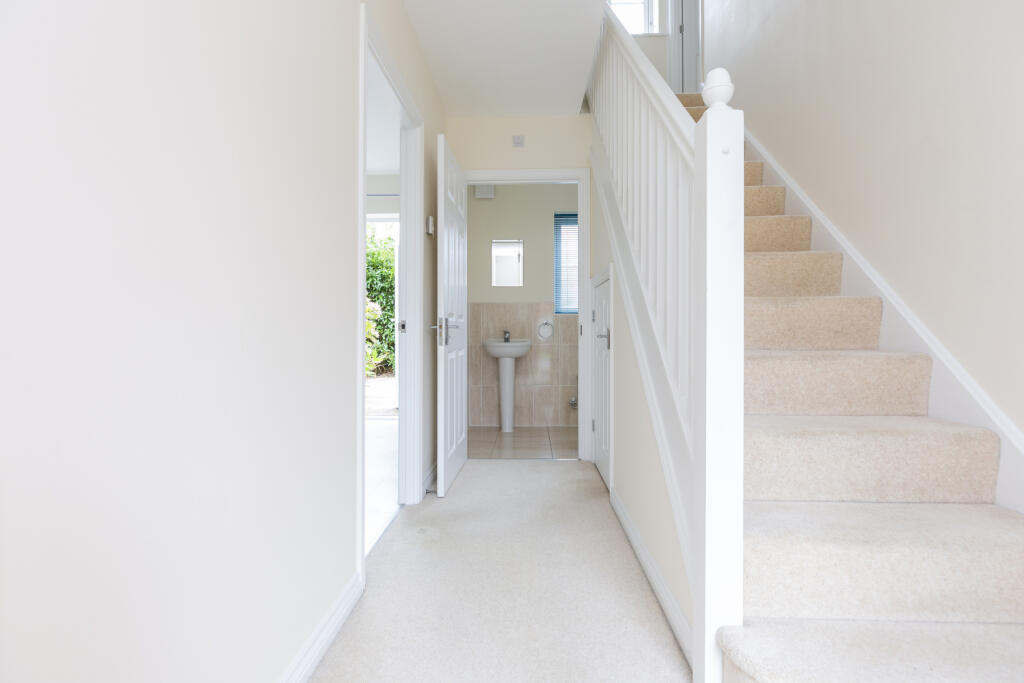 Picture No. 16
