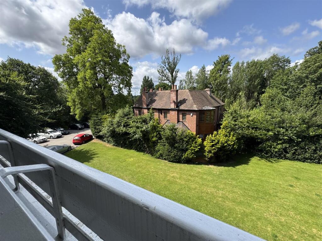 IMG_3626 (Large).JPG