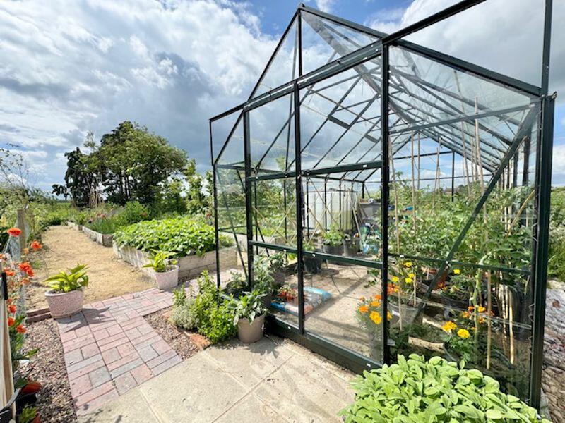 Greenhouse and allotment 