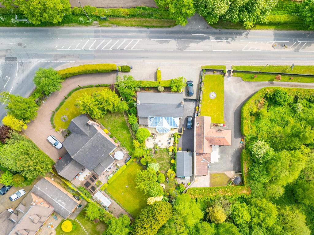 20240509-DJI_0947.jpg