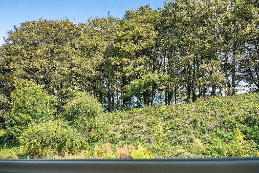 001_19 keppenburn avenue, fairlie _24.jpg