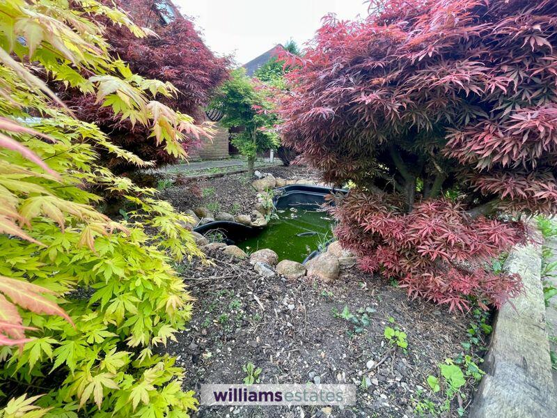 Pond