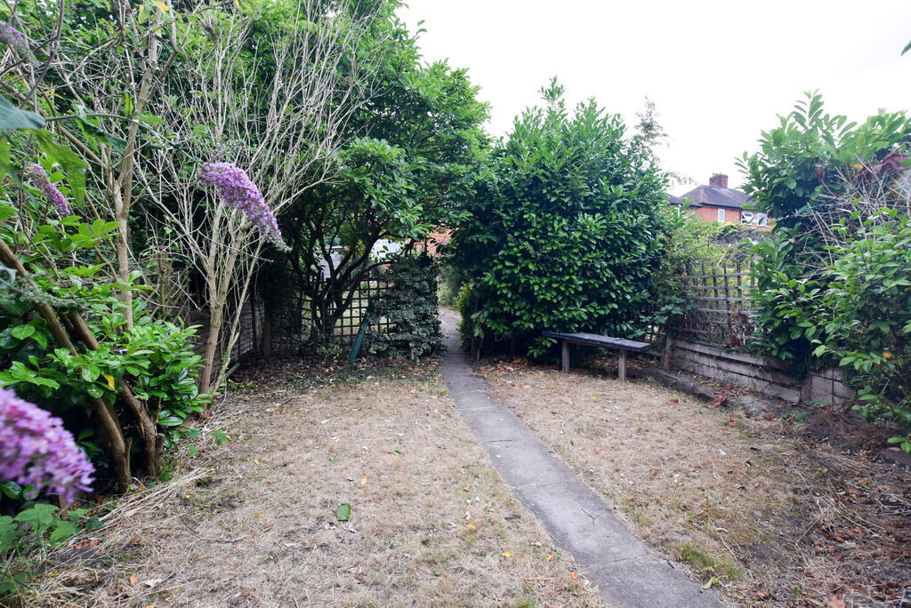 Garden3_edited
