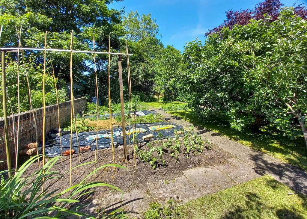 91 Common Road-clients garden-3.jpg