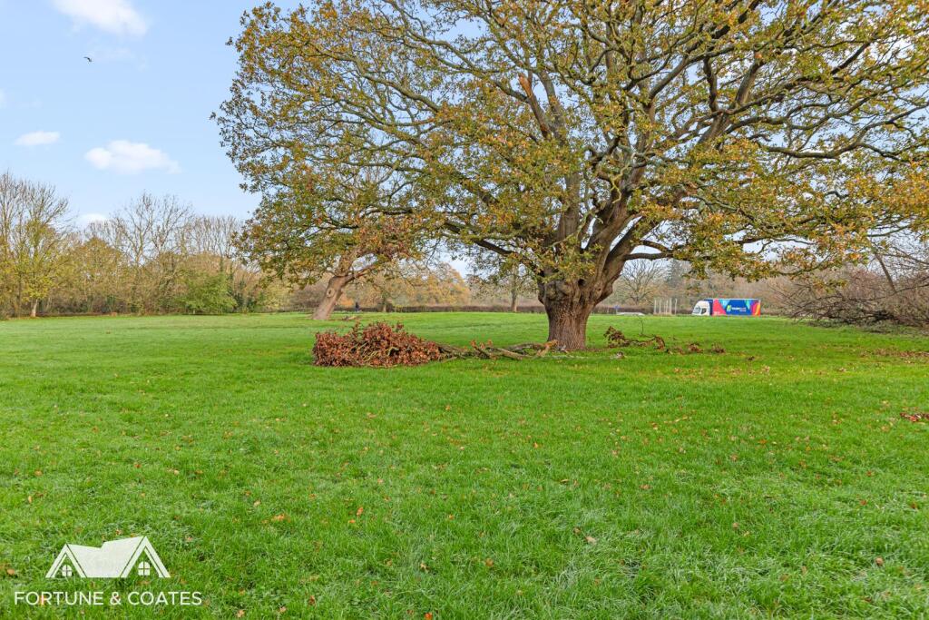StAndrewsMeadow_15.jpg