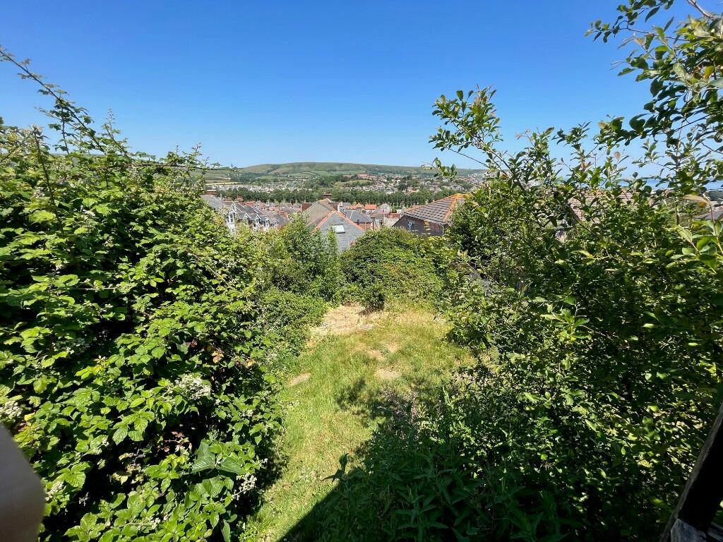 Garden and view