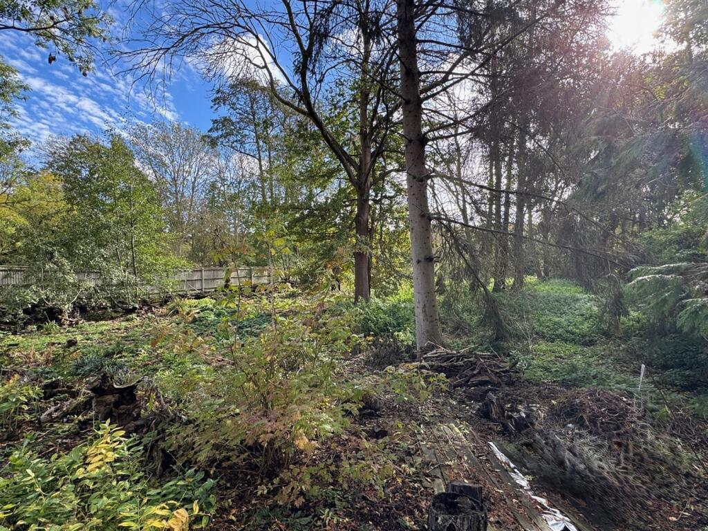 WOODLAND: