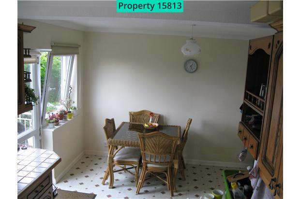 Large dining kitchen