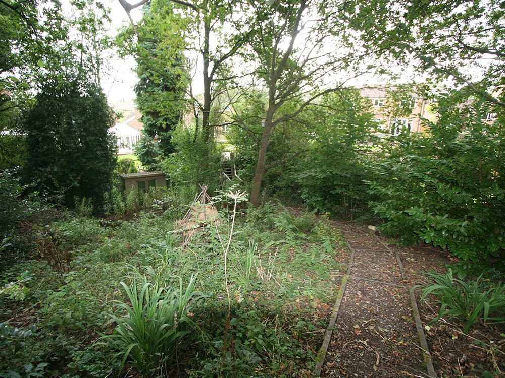 Woodlands