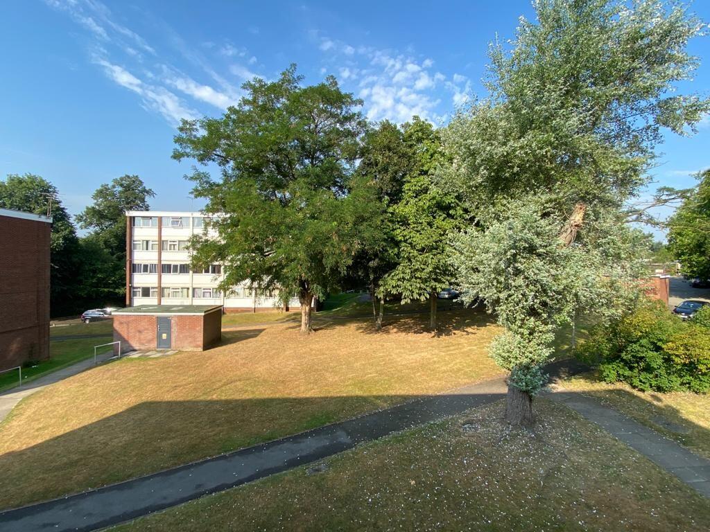 Photograph 11